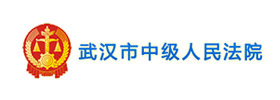 武漢市中級人民法院